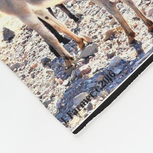 Lake Pleasant Donkey Fleece Blanket (Hoek)