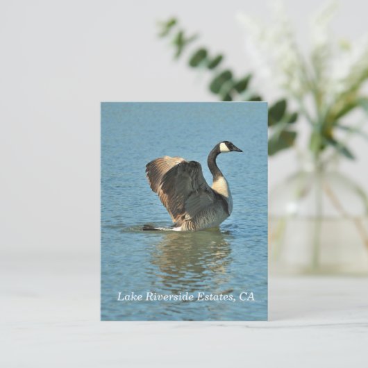 Lake Riverside Estates, CA Briefkaart (Staand voorkant)