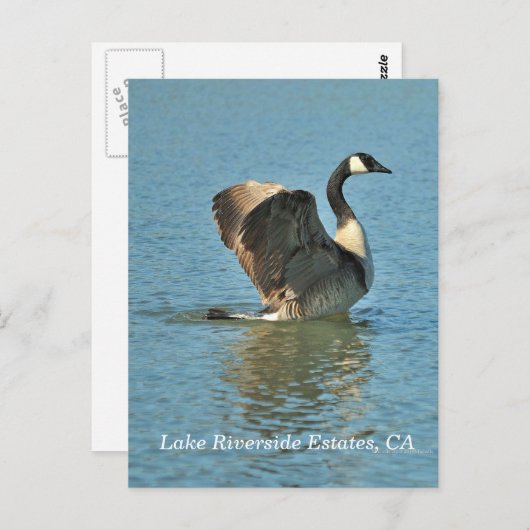 Lake Riverside Estates, CA Briefkaart (Voorkant / Achterkant)