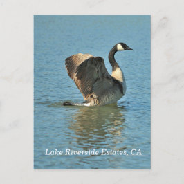 Lake Riverside Estates, CA Briefkaart