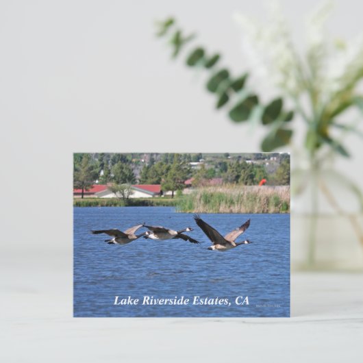 Lake Riverside Estates, CA Briefkaart (Staand voorkant)