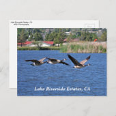 Lake Riverside Estates, CA Briefkaart (Voorkant / Achterkant)