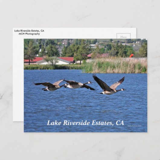 Lake Riverside Estates, CA Briefkaart (Voorkant / Achterkant)