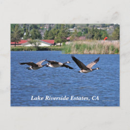 Lake Riverside Estates, CA Briefkaart