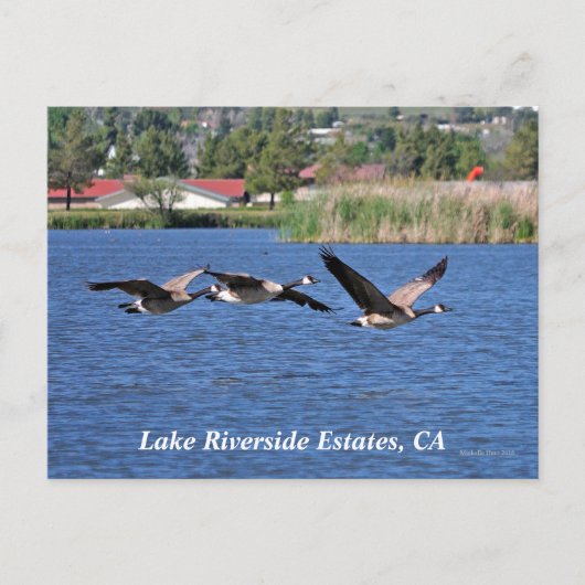 Lake Riverside Estates, CA Briefkaart (Voorkant)