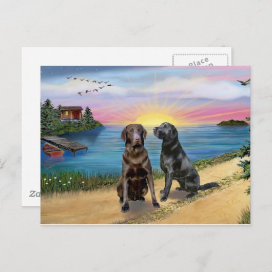 Lake Road - Twee labrador retrievers (Choc-Block) Briefkaart (Voorkant / Achterkant)