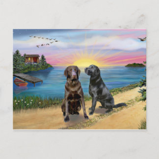 Lake Road - Twee Labrador Retrievers (Choc-Zw) Briefkaart
