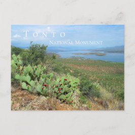 Lake Roosevelt, Tonto National Monument, AZ Briefkaart