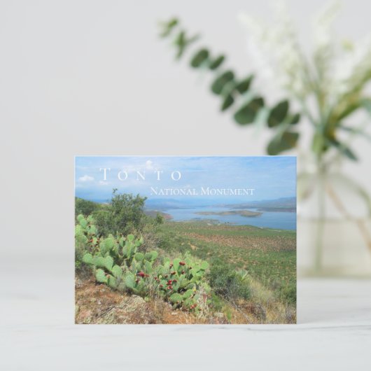 Lake Roosevelt, Tonto National Monument, AZ Briefkaart (Staand voorkant)