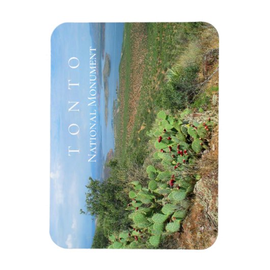 Lake Roosevelt, Tonto National Monument, AZ Magneet (Verticaal)