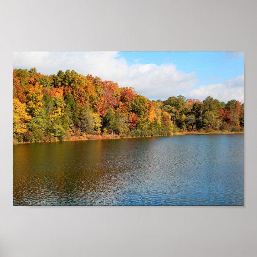 Lake Russell Fall Colors Poster (Voorkant)