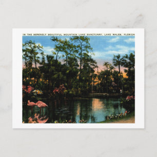 Lake Sanctuary, Lake Wales, Vintage van Florida Briefkaart