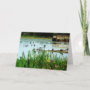 Lake Scene met Cattails Ducks and Dock Kaart