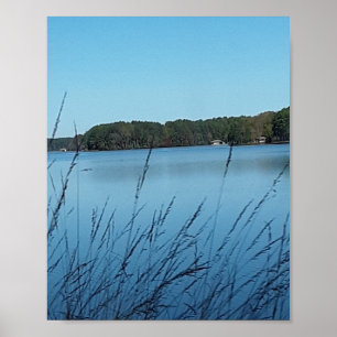 Lake Scene Poster