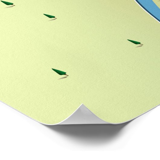 Lake Seminole Georgia Map poster (Hoek)