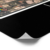 Lake Shelbyville Illinois Satellite Poster Map (Hoek)