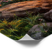 Lake Sunset - Watercolor Painting Style Poster (Hoek)