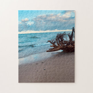 Lake Superior drijfhout wortels #2 Legpuzzel