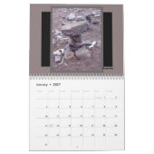 Lake Superior Watervallen Kalender (Jan 2027)