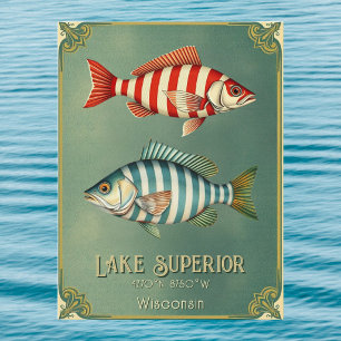 Lake Superior Wisconsin Michigan vis Postkaart 