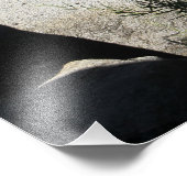 Lake Tahoe California Clear Water Foto Print Afdruk (Hoek)