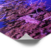 Lake Tahoe California Scenery Foto Poster (Hoek)