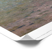 Lake Tahoe, Californië door Bierstadt (0102a) Poster (Hoek)