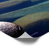 Lake Tahoe Winter Stilwater 2 Poster (Hoek)