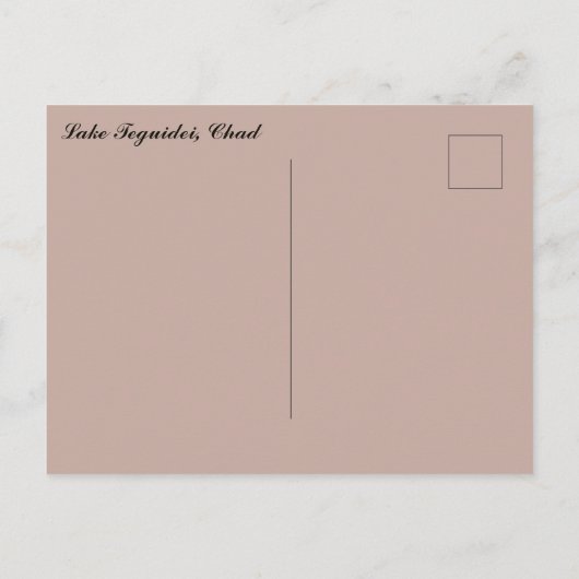 Lake Teguidei Chad Briefkaart (Achterkant)