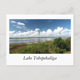 Lake Tohopekaliga Florida Briefkaart
