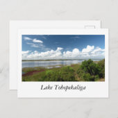 Lake Tohopekaliga Florida Briefkaart (Voorkant / Achterkant)