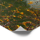 Lake Treman Poster (Hoek)