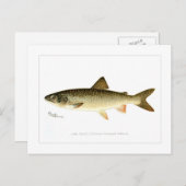 Lake Trout Briefkaart (Voorkant / Achterkant)