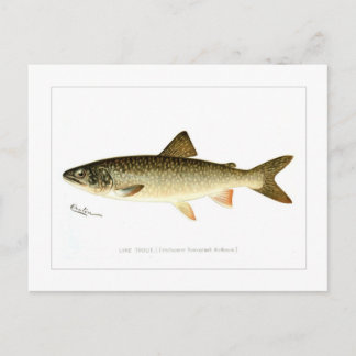 Lake Trout Briefkaart