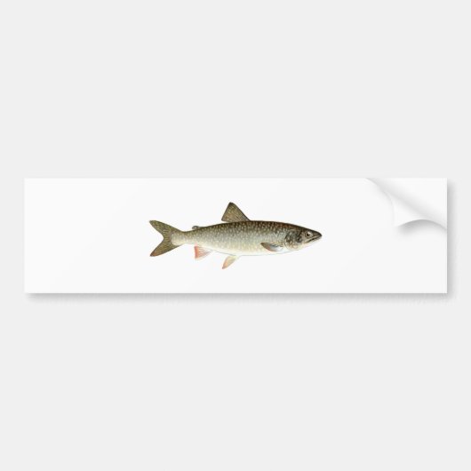 Lake Trout Logo Bumpersticker (Voorkant)