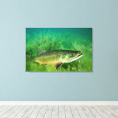 Lake Trout Portrait, Emerald Lake, Montana Canvas Afdruk (Insitu (Houten vloer))
