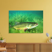 Lake Trout Portrait, Emerald Lake, Montana Canvas Afdruk (Insitu (Woonkamer))