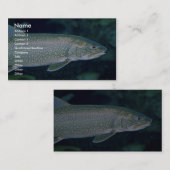 Lake Trout Visitekaartje (Voorkant / Achterkant)
