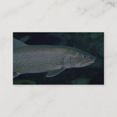 Lake Trout Visitekaartje (Achterkant)