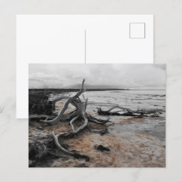 Lake Tyrrell Natural Forces Briefkaart