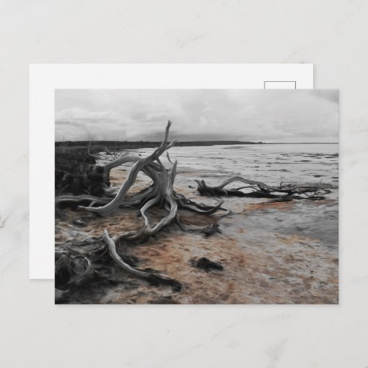 Lake Tyrrell Natural Forces Briefkaart (Voorkant / Achterkant)