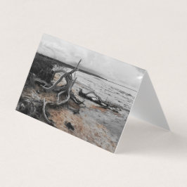 Lake Tyrrell Natuurlijke Krachten Gevouwen Kaart