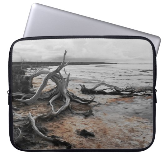 Lake Tyrrell Natuurlijke Krachten Laptop Sleeve (Voorkant)