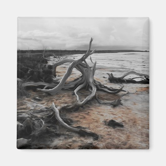 Lake Tyrrell Natuurlijke Krachten Magneet (Voorkant)