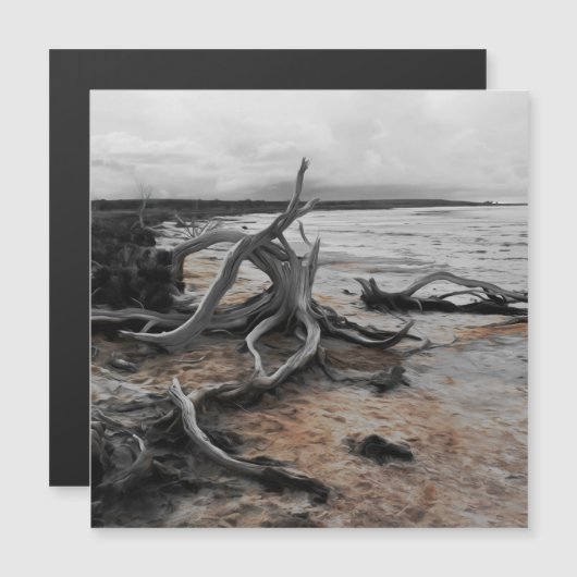 Lake Tyrrell Natuurlijke Krachten Magnetische Kaar (Voorkant / Achterkant)