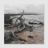 Lake Tyrrell Natuurlijke Krachten Magnetische Kaar (Voorkant)