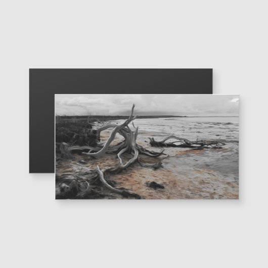 Lake Tyrrell Natuurlijke Krachten Magnetische Kaar (Voorkant / Achterkant)