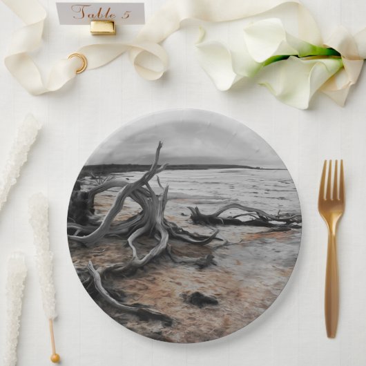 Lake Tyrrell Natuurlijke Krachten Papier Bord (Huwelijk)