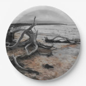 Lake Tyrrell Natuurlijke Krachten Papier Bord (Voorkant)