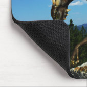 Lake View Muismat (Hoek)